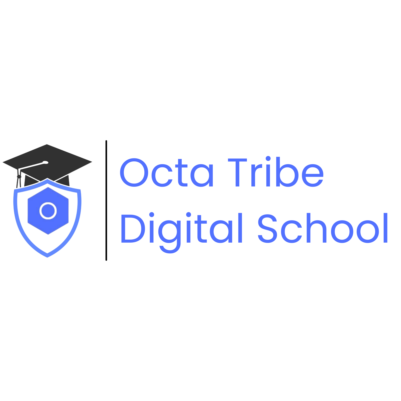 Octa Tribe Digital School Logo 512-512